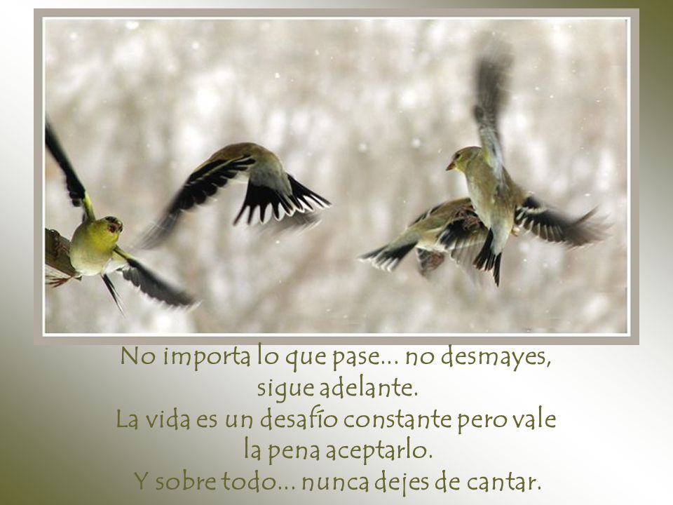 No importa lo que pase... no desmayes, sigue adelante.