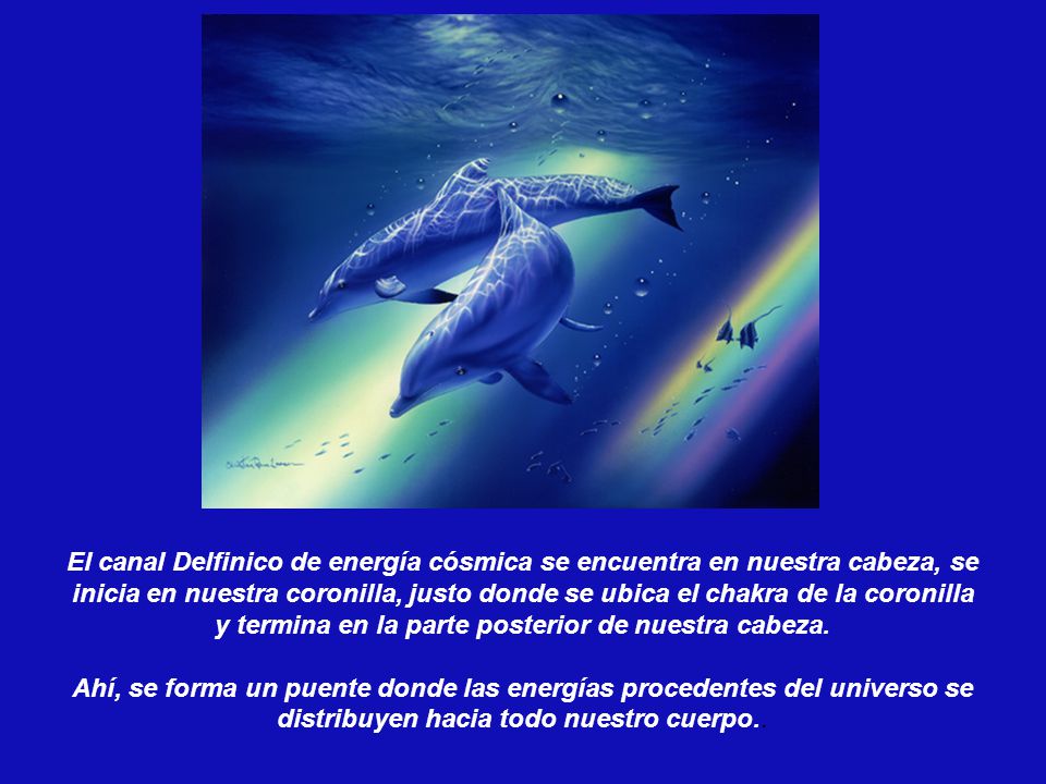 El canal Delfinico de energía cósmica se encuentra en nuestra cabeza, se inicia en nuestra coronilla, justo donde se ubica el chakra de la coronilla y termina en la parte posterior de nuestra cabeza.