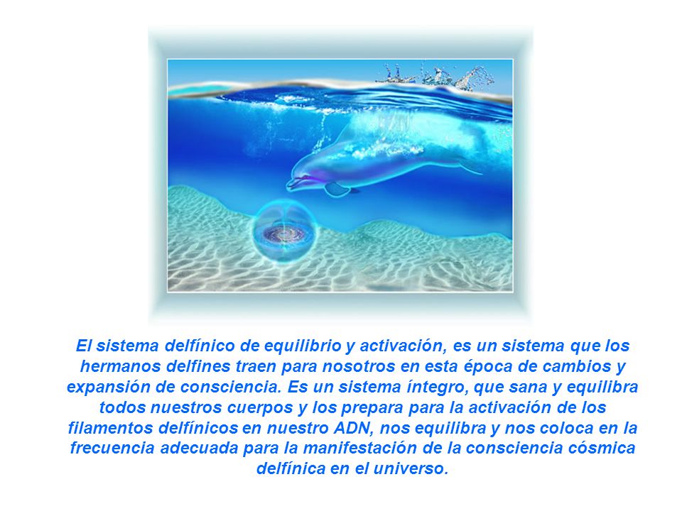 El sistema delfínico de equilibrio y activación, es un sistema que los hermanos delfines traen para nosotros en esta época de cambios y expansión de consciencia.