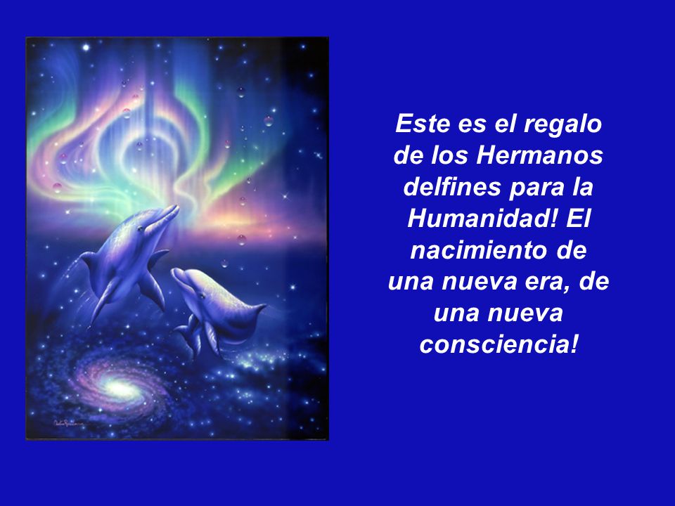 Este es el regalo de los Hermanos delfines para la Humanidad