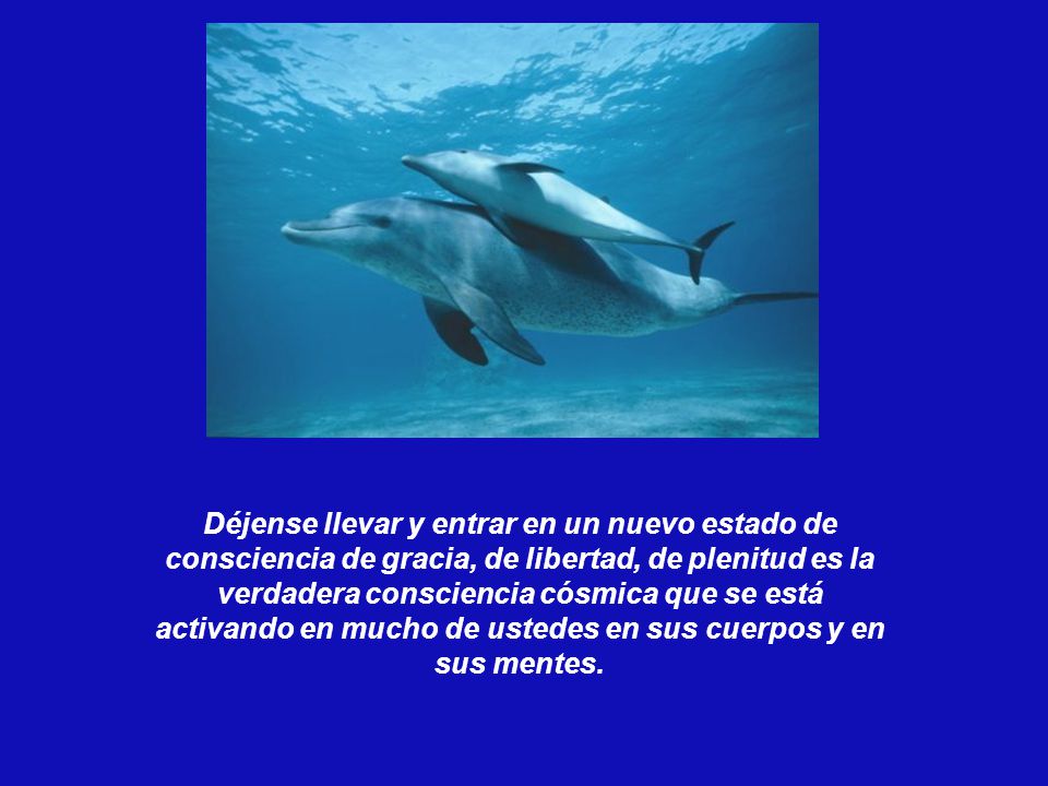 Déjense llevar y entrar en un nuevo estado de consciencia de gracia, de libertad, de plenitud es la verdadera consciencia cósmica que se está activando en mucho de ustedes en sus cuerpos y en sus mentes.