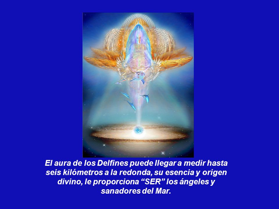 El aura de los Delfines puede llegar a medir hasta seis kilómetros a la redonda, su esencia y origen divino, le proporciona SER los ángeles y sanadores del Mar.