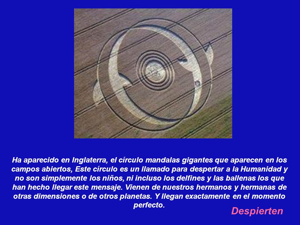 Ha aparecido en Inglaterra, el círculo mandalas gigantes que aparecen en los campos abiertos, Este círculo es un llamado para despertar a la Humanidad y no son simplemente los niños, ni incluso los delfines y las ballenas los que han hecho llegar este mensaje. Vienen de nuestros hermanos y hermanas de otras dimensiones o de otros planetas. Y llegan exactamente en el momento perfecto.