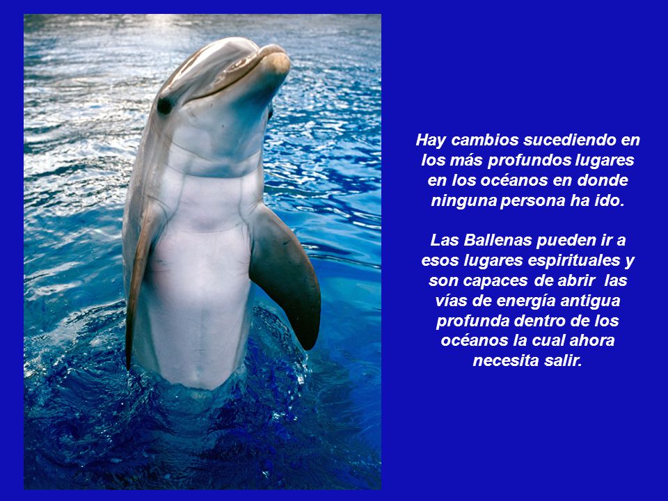 Hay cambios sucediendo en los más profundos lugares en los océanos en donde ninguna persona ha ido.