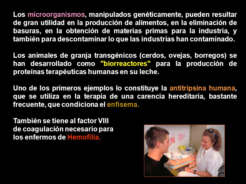 Los microorganismos, manipulados genéticamente, pueden resultar de gran utilidad en la producción de alimentos, en la eliminación de basuras, en la obtención de materias primas para la industria, y también para descontaminar lo que las industrias han contaminado.