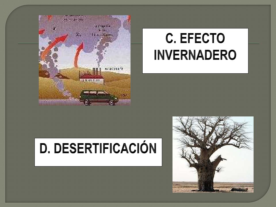 C. EFECTO INVERNADERO D. DESERTIFICACIÓN