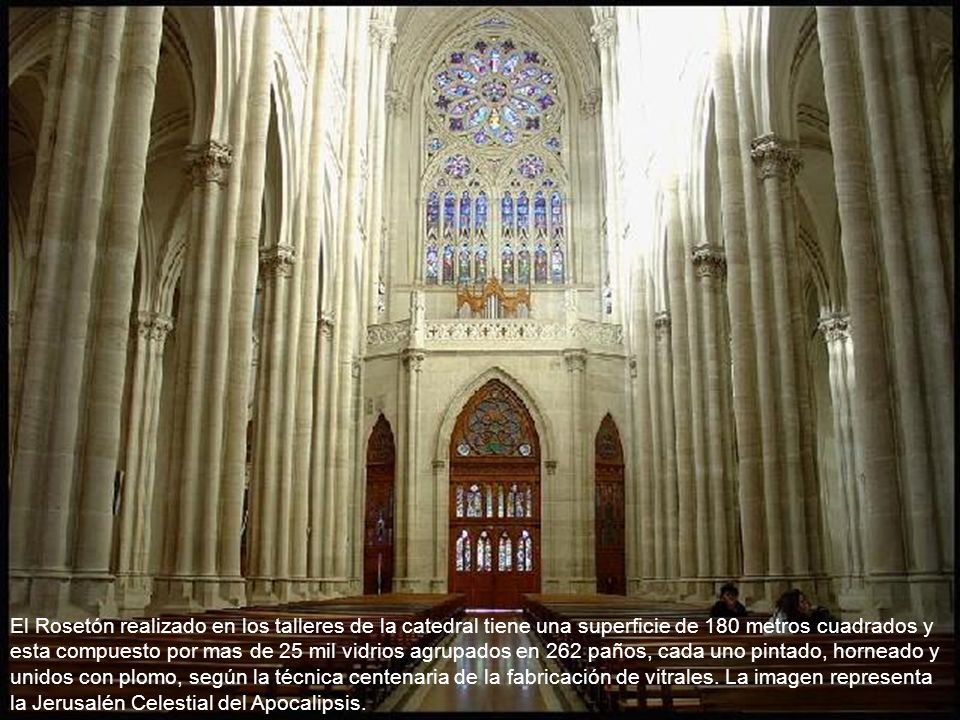 El Rosetón realizado en los talleres de la catedral tiene una superficie de 180 metros cuadrados y esta compuesto por mas de 25 mil vidrios agrupados en 262 paños, cada uno pintado, horneado y unidos con plomo, según la técnica centenaria de la fabricación de vitrales.