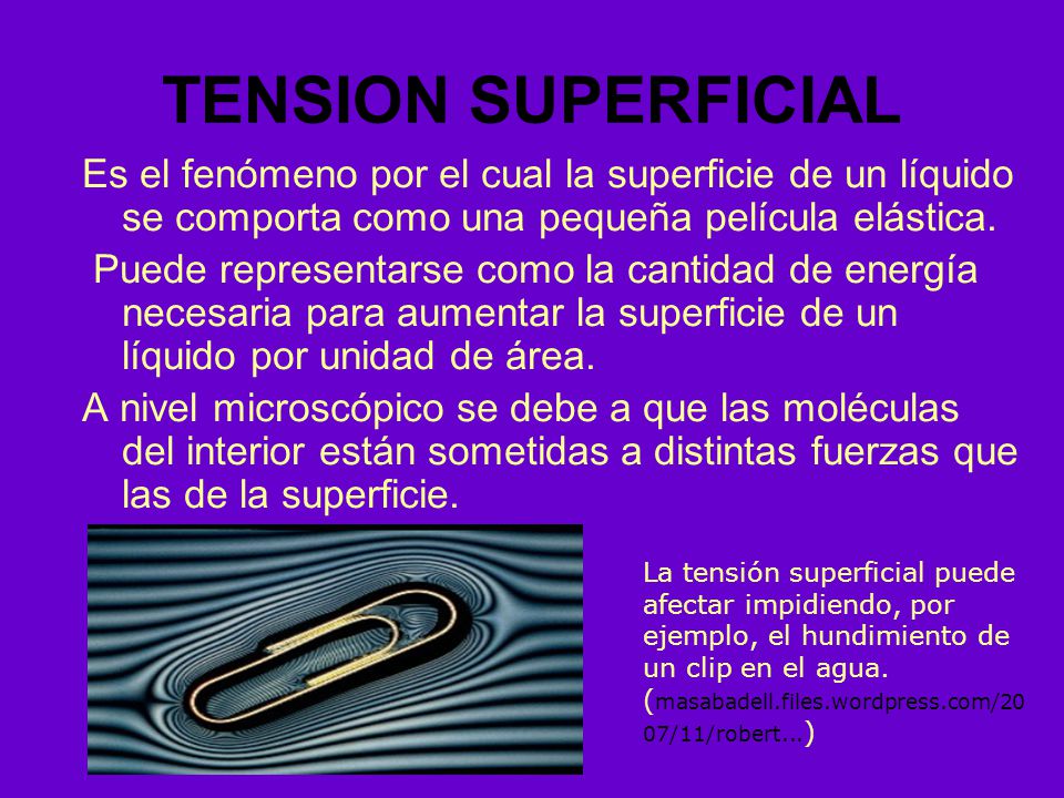 TENSION SUPERFICIAL Es el fenómeno por el cual la superficie de un líquido se comporta como una pequeña película elástica.