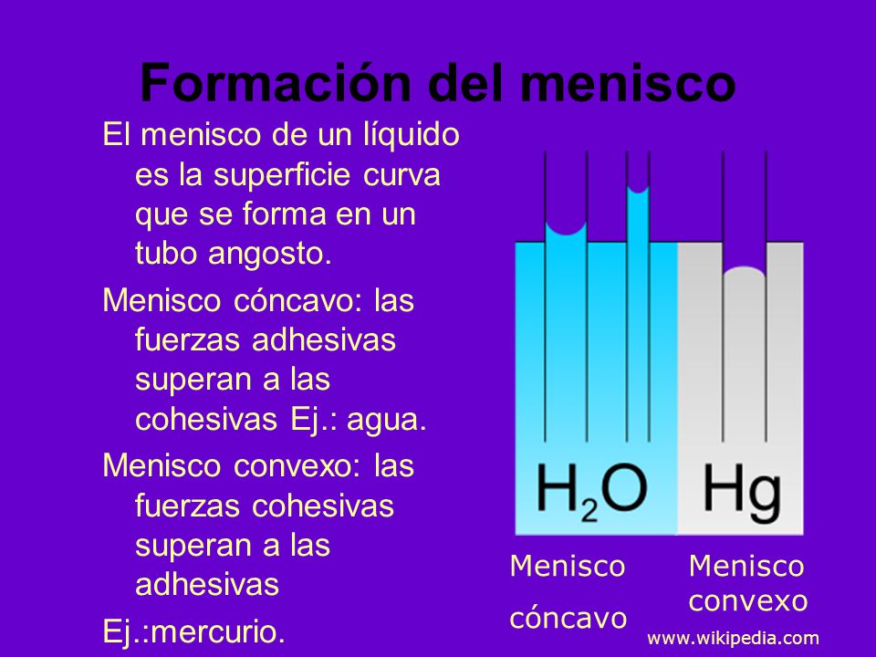 Formación del menisco El menisco de un líquido es la superficie curva que se forma en un tubo angosto.