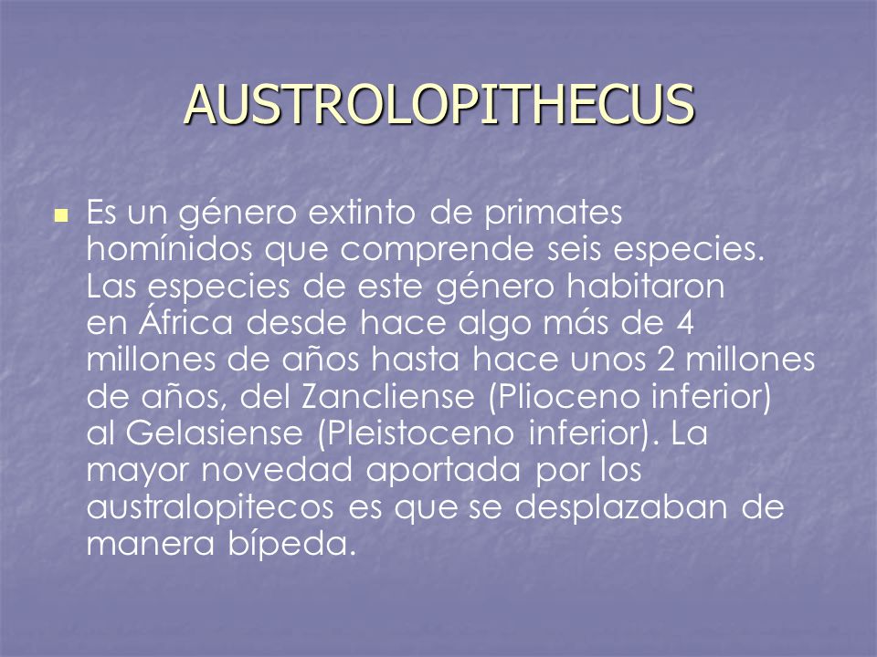 AUSTROLOPITHECUS