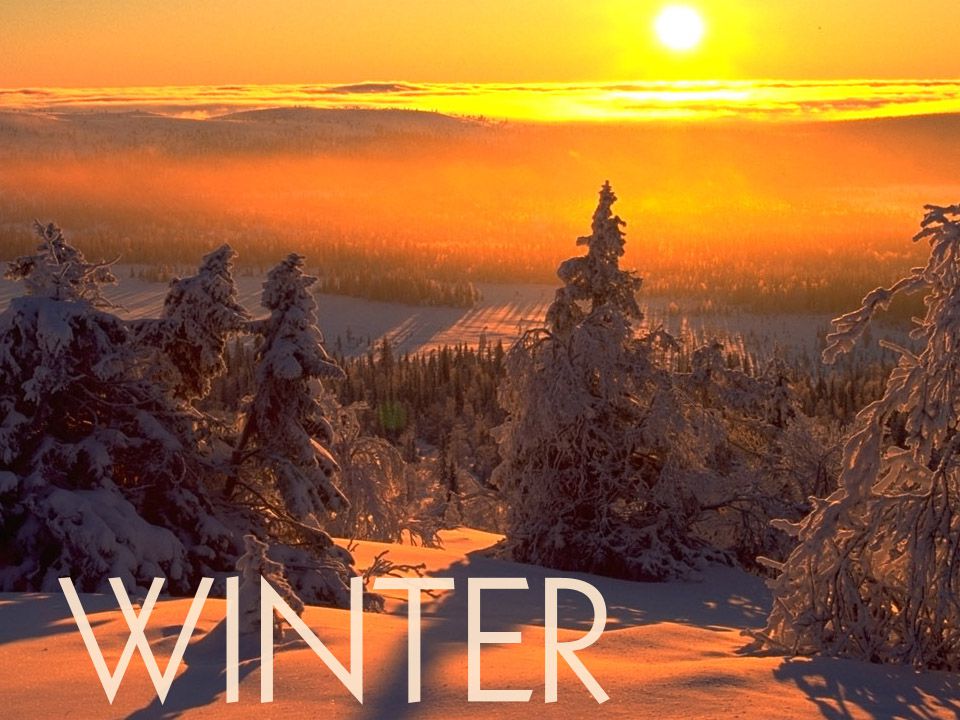 INVIERNO desde noviembre/diciembre a marzo (en Laponia dura 6 meses) temperaturas máxima y mínima por el mes más frío (enero):