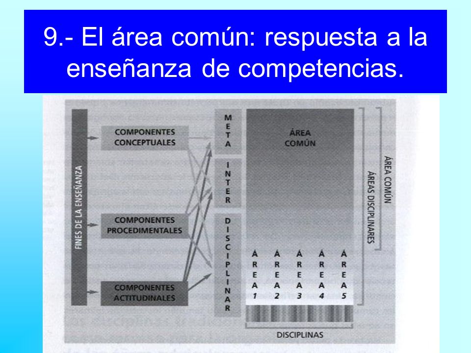 9.- El área común: respuesta a la enseñanza de competencias.