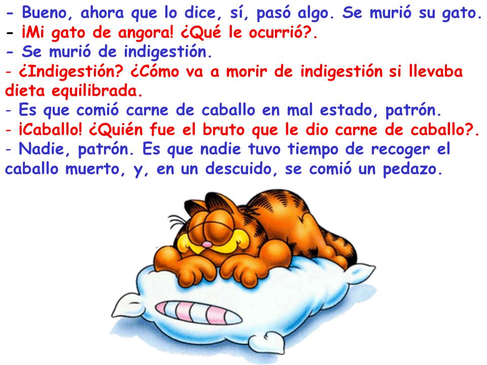 - Bueno, ahora que lo dice, sí, pasó algo. Se murió su gato.