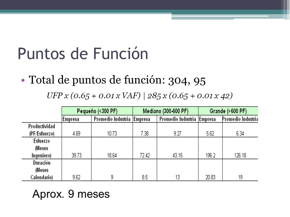 Puntos de Función Total de puntos de función: 304, 95