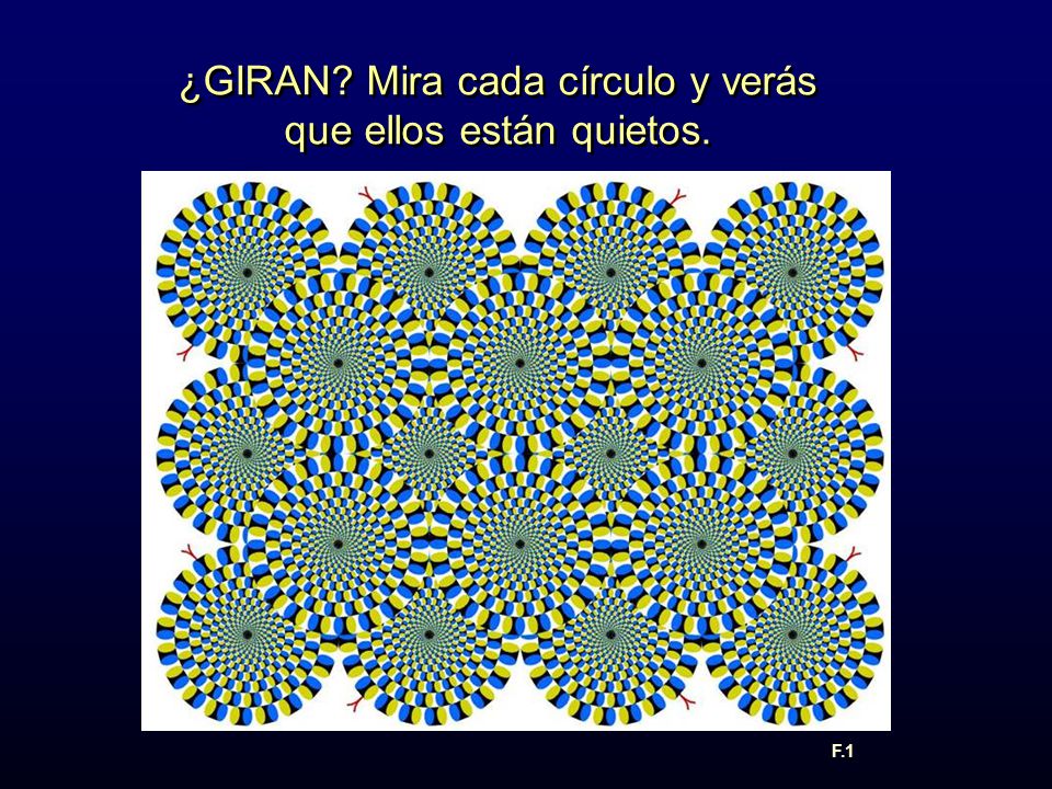 ¿GIRAN Mira cada círculo y verás que ellos están quietos.