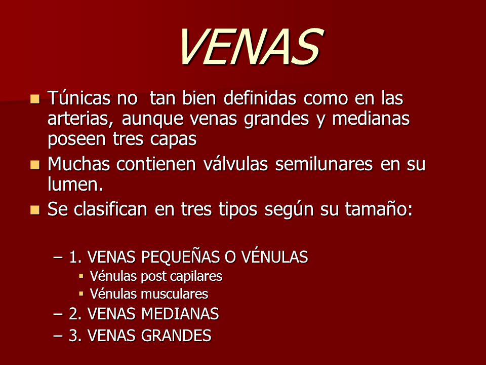 VENAS Túnicas no tan bien definidas como en las arterias, aunque venas grandes y medianas poseen tres capas.