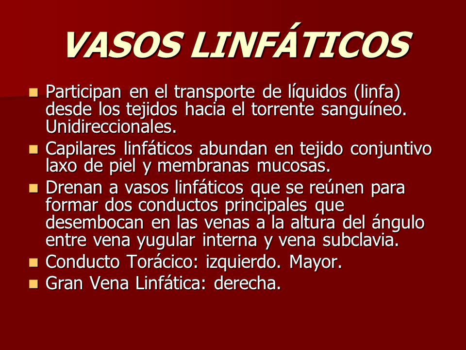 VASOS LINFÁTICOS Participan en el transporte de líquidos (linfa) desde los tejidos hacia el torrente sanguíneo. Unidireccionales.