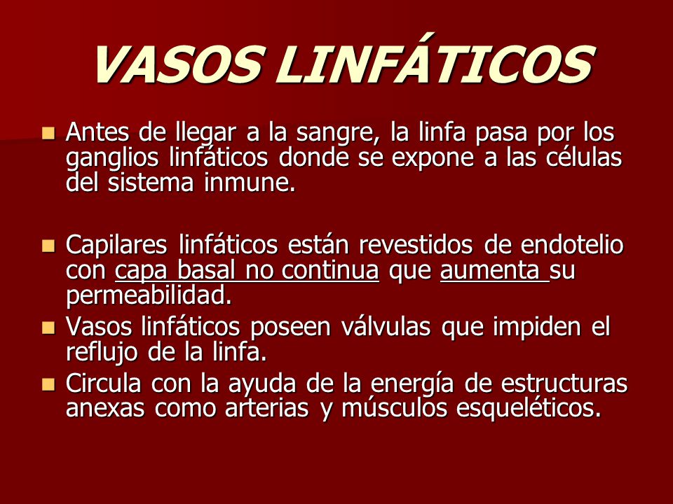 VASOS LINFÁTICOS Antes de llegar a la sangre, la linfa pasa por los ganglios linfáticos donde se expone a las células del sistema inmune.