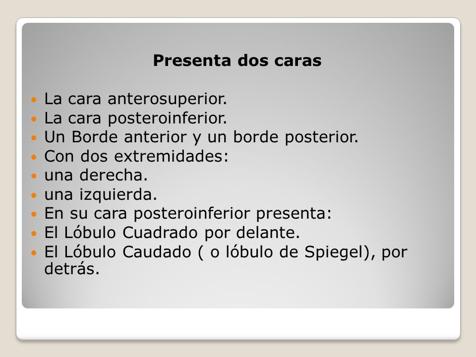 Presenta dos caras La cara anterosuperior. La cara posteroinferior. Un Borde anterior y un borde posterior.