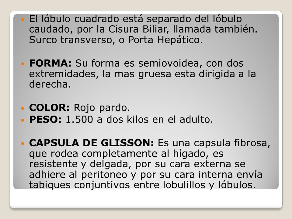 El lóbulo cuadrado está separado del lóbulo caudado, por la Cisura Biliar, llamada también. Surco transverso, o Porta Hepático.