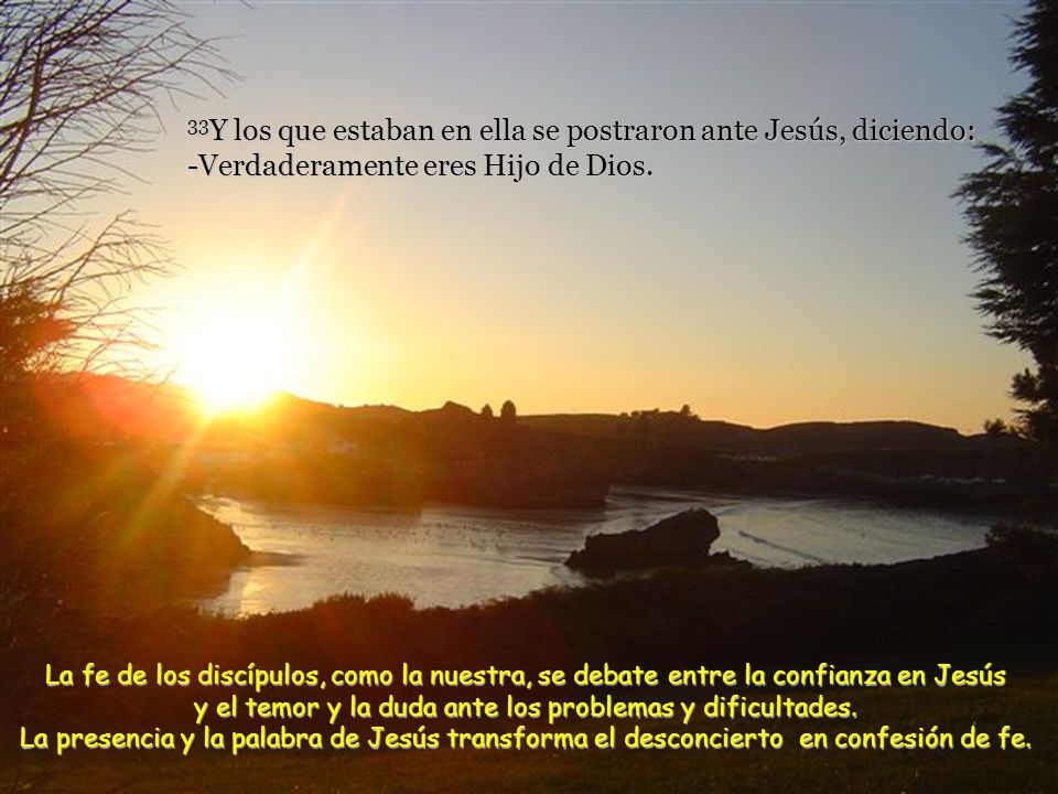 33Y los que estaban en ella se postraron ante Jesús, diciendo: -Verdaderamente eres Hijo de Dios.