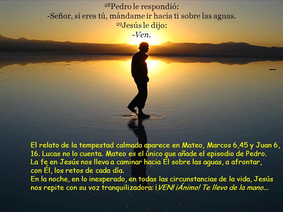 28Pedro le respondió: -Señor, si eres tú, mándame ir hacia ti sobre las aguas. 29Jesús le dijo: -Ven.