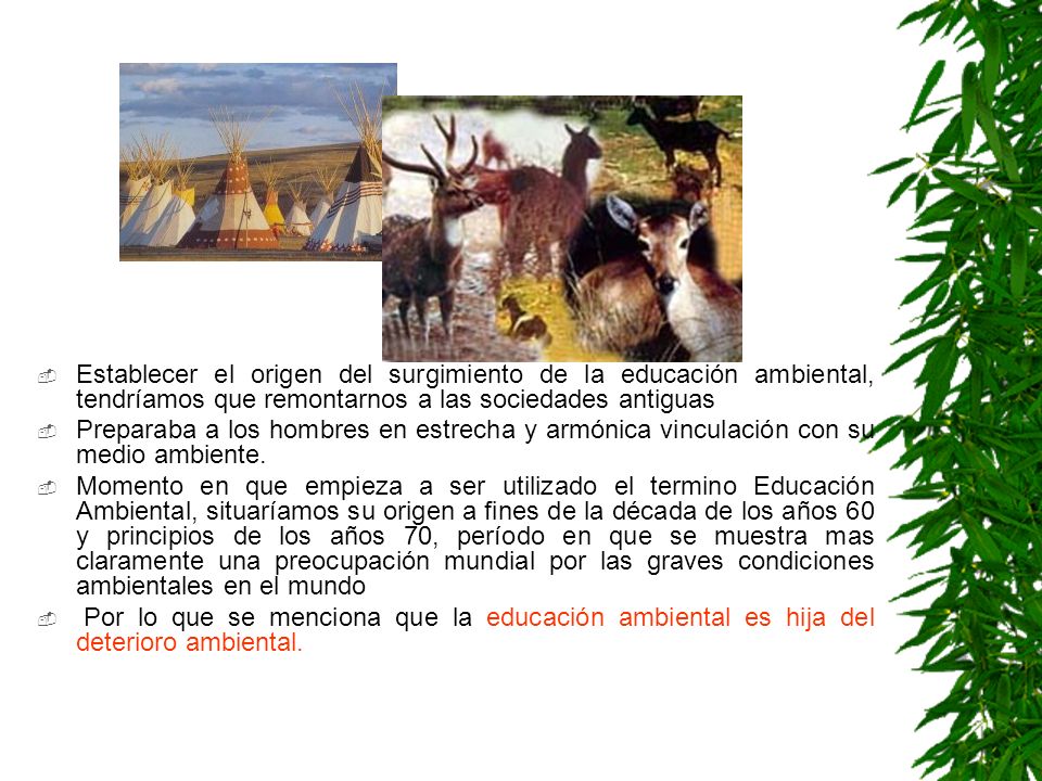 Establecer el origen del surgimiento de la educación ambiental, tendríamos que remontarnos a las sociedades antiguas