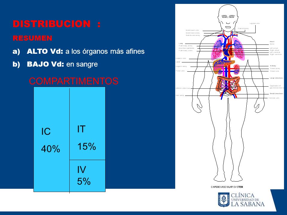 DISTRIBUCION : COMPARTIMENTOS IT IC 15% 40% IV 5% RESUMEN