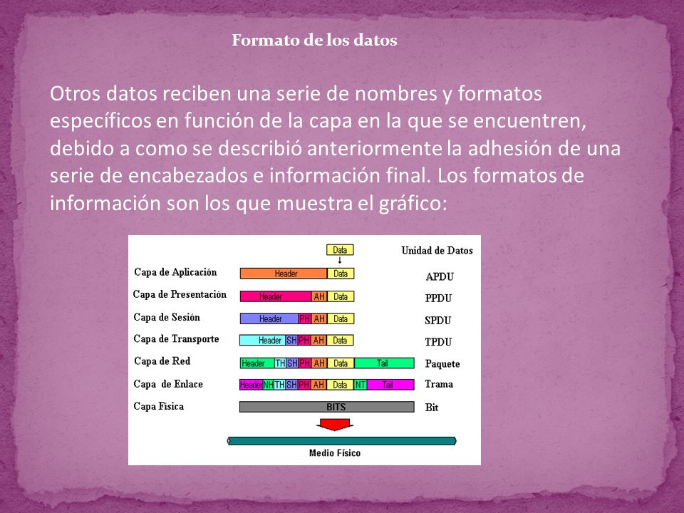 Formato de los datos