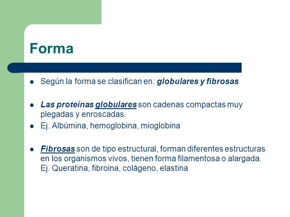 Forma Según la forma se clasifican en: globulares y fibrosas