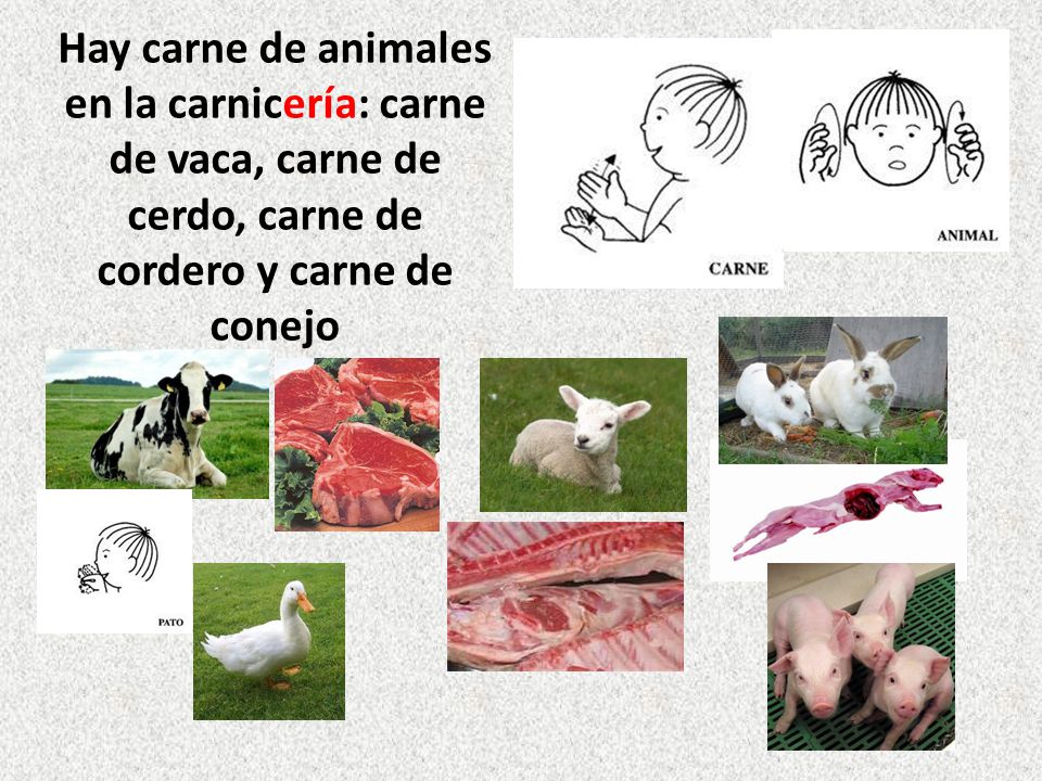 Hay carne de animales en la carnicería: carne de vaca, carne de cerdo, carne de cordero y carne de conejo