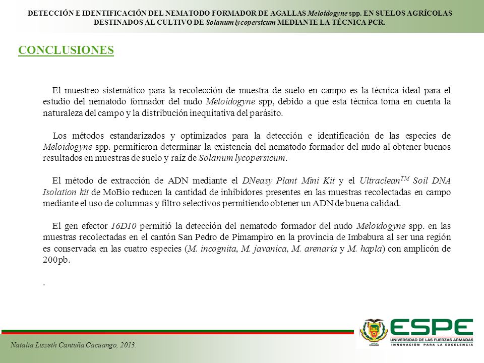 DETECCIÓN E IDENTIFICACIÓN DEL NEMATODO FORMADOR DE AGALLAS Meloidogyne spp. EN SUELOS AGRÍCOLAS DESTINADOS AL CULTIVO DE Solanum lycopersicum MEDIANTE LA TÉCNICA PCR.