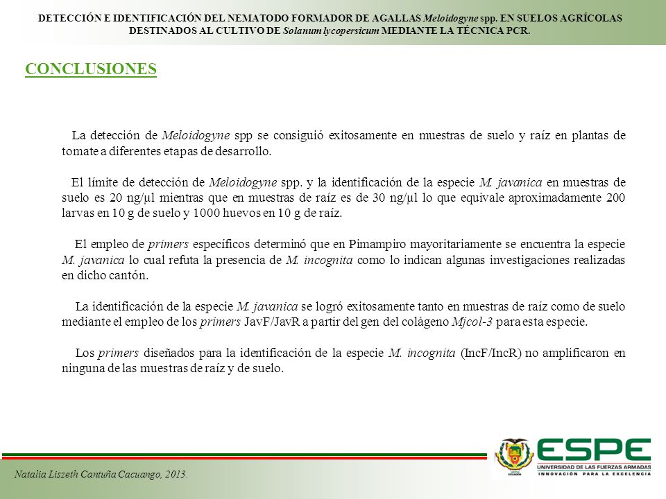 DETECCIÓN E IDENTIFICACIÓN DEL NEMATODO FORMADOR DE AGALLAS Meloidogyne spp. EN SUELOS AGRÍCOLAS DESTINADOS AL CULTIVO DE Solanum lycopersicum MEDIANTE LA TÉCNICA PCR.