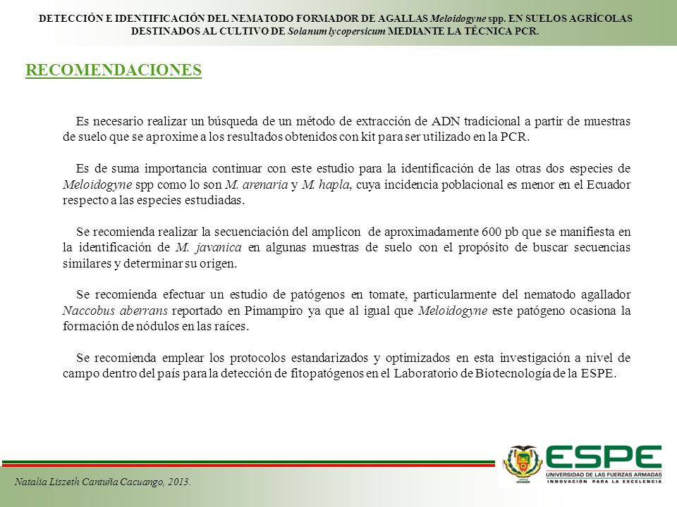 DETECCIÓN E IDENTIFICACIÓN DEL NEMATODO FORMADOR DE AGALLAS Meloidogyne spp. EN SUELOS AGRÍCOLAS DESTINADOS AL CULTIVO DE Solanum lycopersicum MEDIANTE LA TÉCNICA PCR.