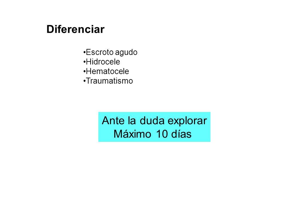 Diferenciar Ante la duda explorar Máximo 10 días Escroto agudo