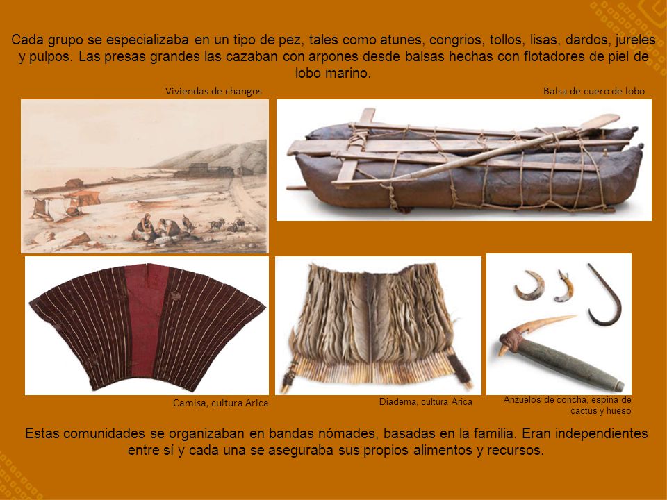 Cada grupo se especializaba en un tipo de pez, tales como atunes, congrios, tollos, lisas, dardos, jureles y pulpos. Las presas grandes las cazaban con arpones desde balsas hechas con flotadores de piel de lobo marino.