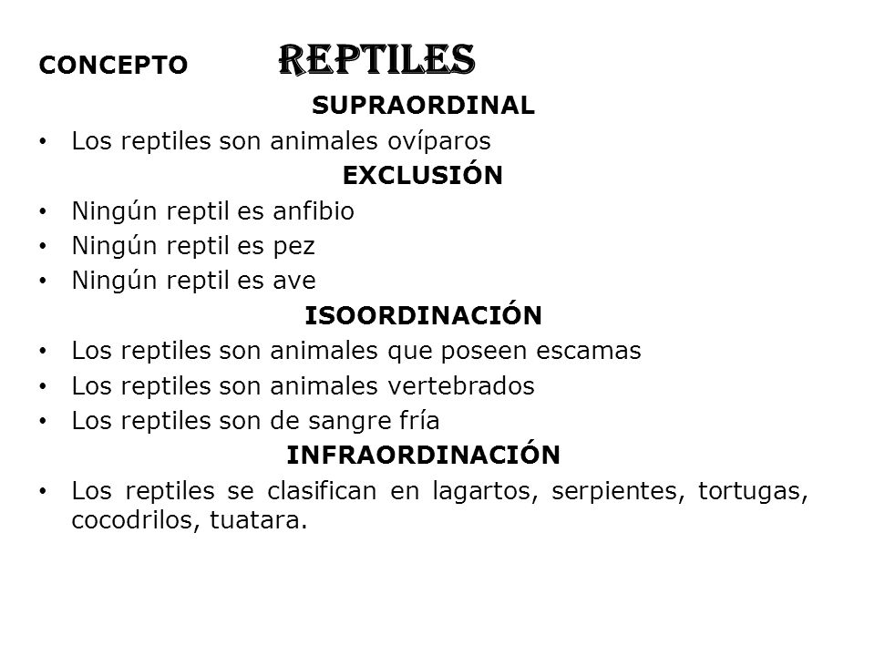 CONCEPTO REPTILES SUPRAORDINAL. Los reptiles son animales ovíparos. EXCLUSIÓN. Ningún reptil es anfibio.