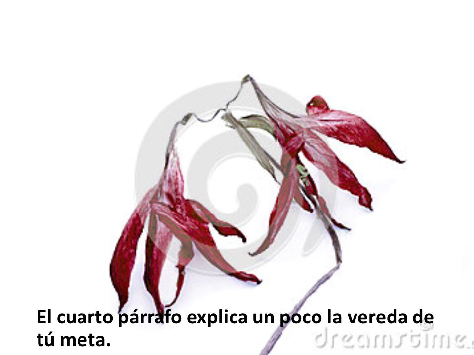 El cuarto párrafo explica un poco la vereda de tú meta.