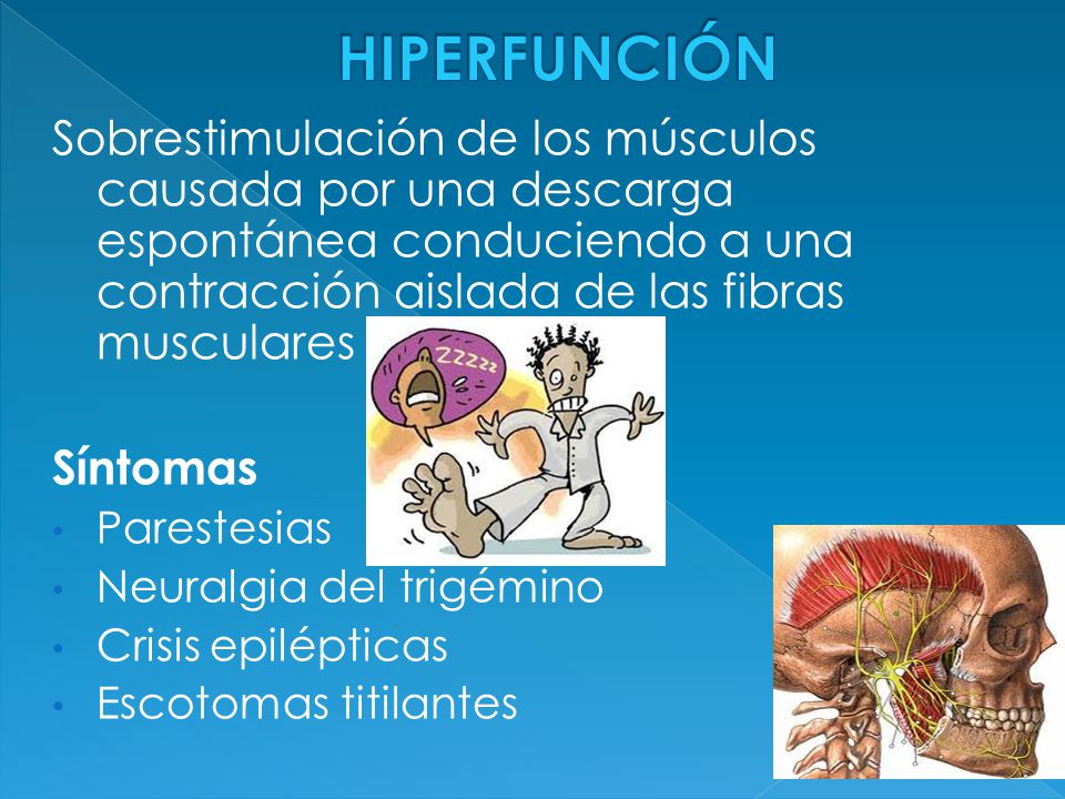 HIPERFUNCIÓN Sobrestimulación de los músculos causada por una descarga espontánea conduciendo a una contracción aislada de las fibras musculares.