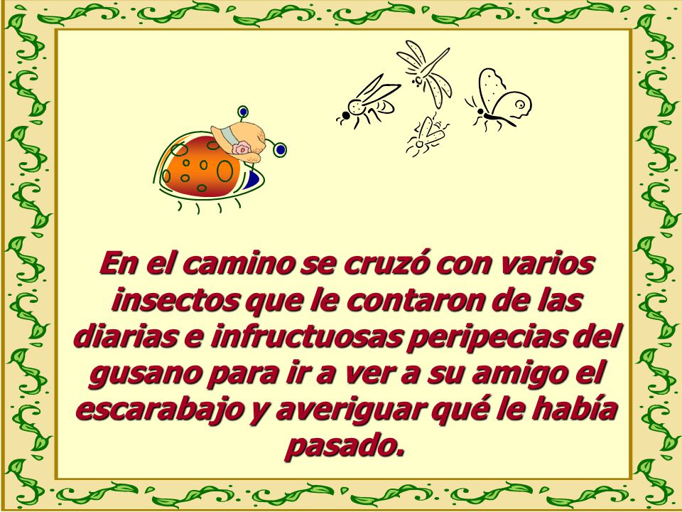En el camino se cruzó con varios insectos que le contaron de las diarias e infructuosas peripecias del gusano para ir a ver a su amigo el escarabajo y averiguar qué le había pasado.