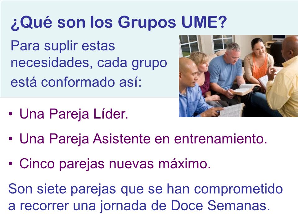 Para suplir estas necesidades, cada grupo está conformado así:
