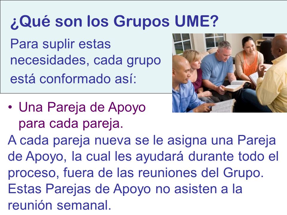 Para suplir estas necesidades, cada grupo está conformado así: