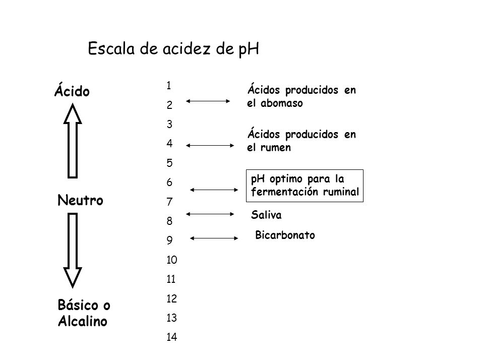 Escala de acidez de pH Ácido Neutro Básico o Alcalino 1