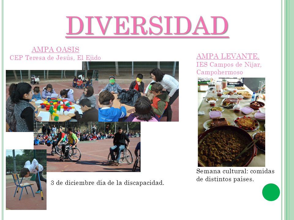 DIVERSIDAD AMPA OASIS AMPA LEVANTE, CEP Teresa de Jesús, El Ejido