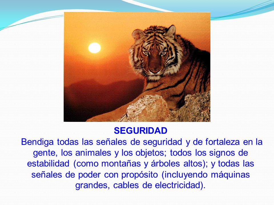 SEGURIDAD Bendiga todas las señales de seguridad y de fortaleza en la gente, los animales y los objetos; todos los signos de estabilidad (como montañas y árboles altos); y todas las señales de poder con propósito (incluyendo máquinas grandes, cables de electricidad).