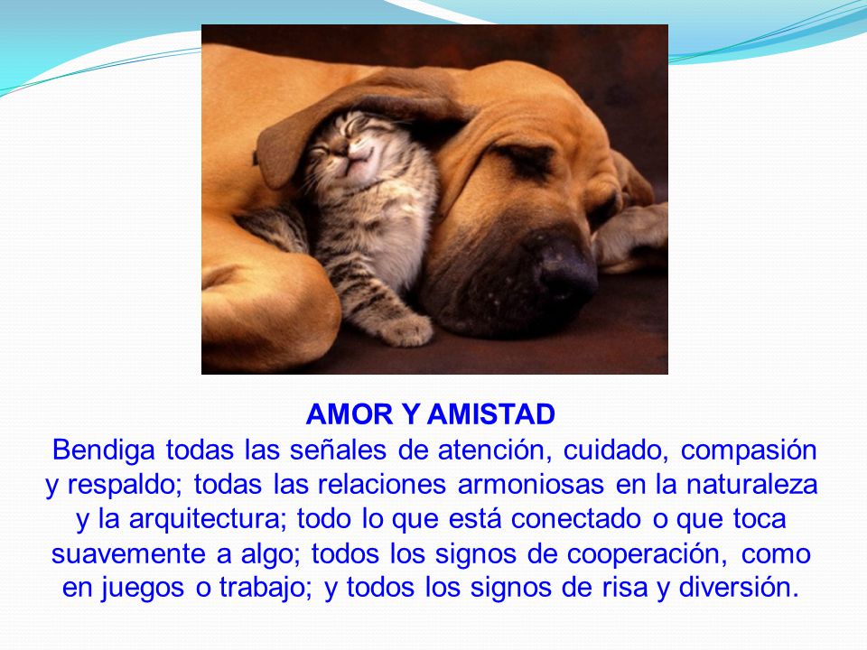 AMOR Y AMISTAD Bendiga todas las señales de atención, cuidado, compasión y respaldo; todas las relaciones armoniosas en la naturaleza y la arquitectura; todo lo que está conectado o que toca suavemente a algo; todos los signos de cooperación, como en juegos o trabajo; y todos los signos de risa y diversión.