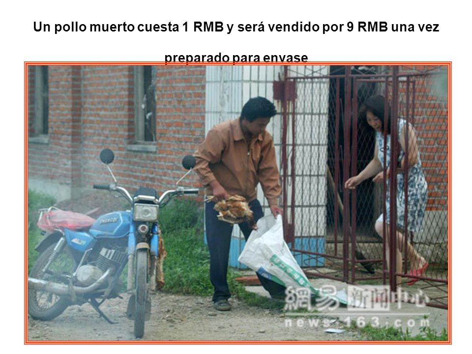 Un pollo muerto cuesta 1 RMB y será vendido por 9 RMB una vez preparado para envase