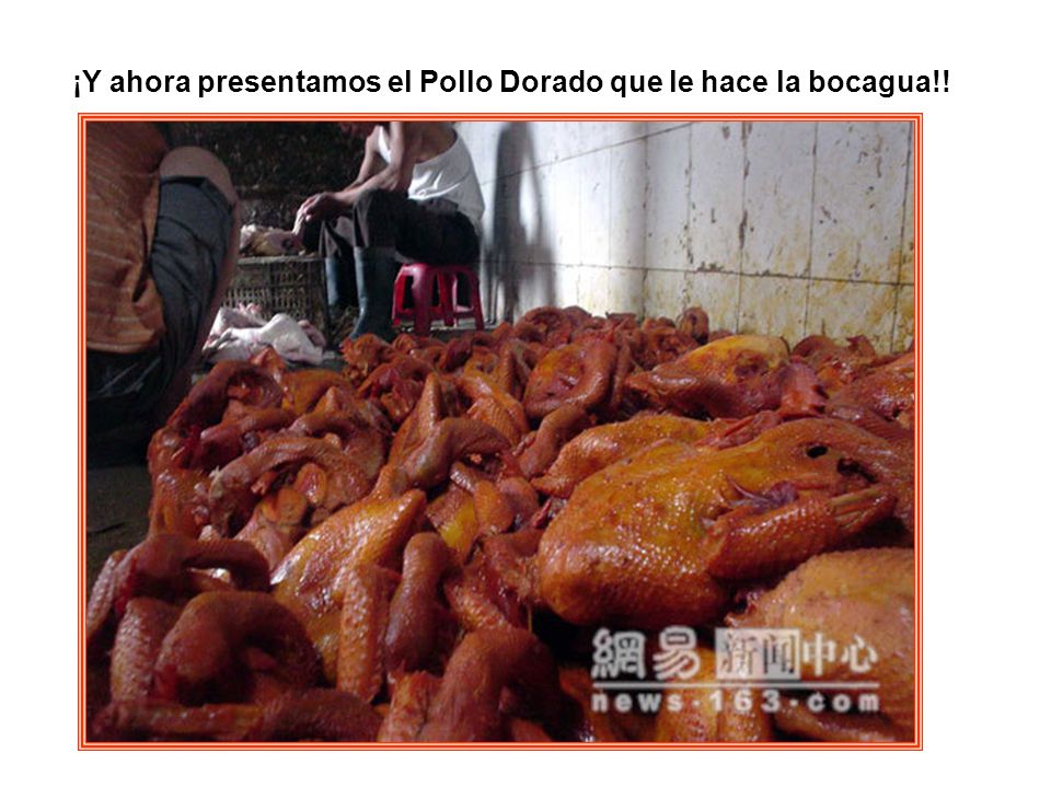 ¡Y ahora presentamos el Pollo Dorado que le hace la bocagua!!
