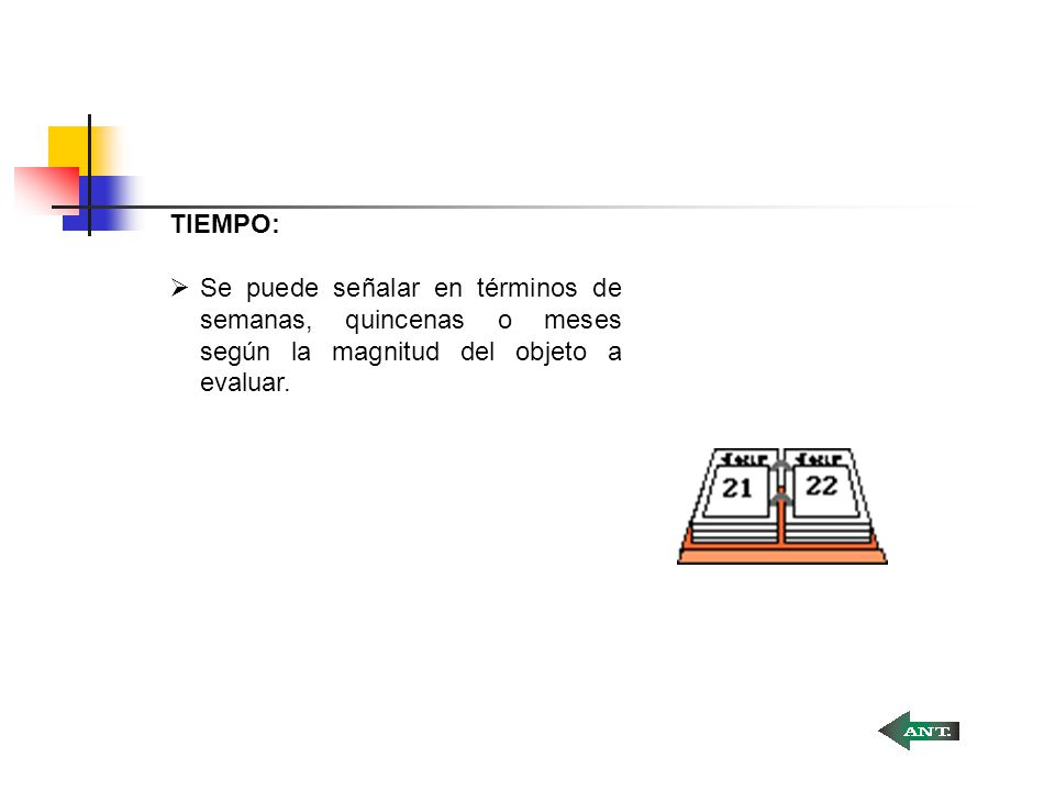 TIEMPO: Se puede señalar en términos de semanas, quincenas o meses según la magnitud del objeto a evaluar.