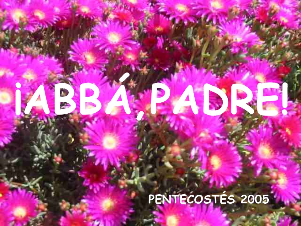 ¡ABBÁ,PADRE! PENTECOSTÉS 2005
